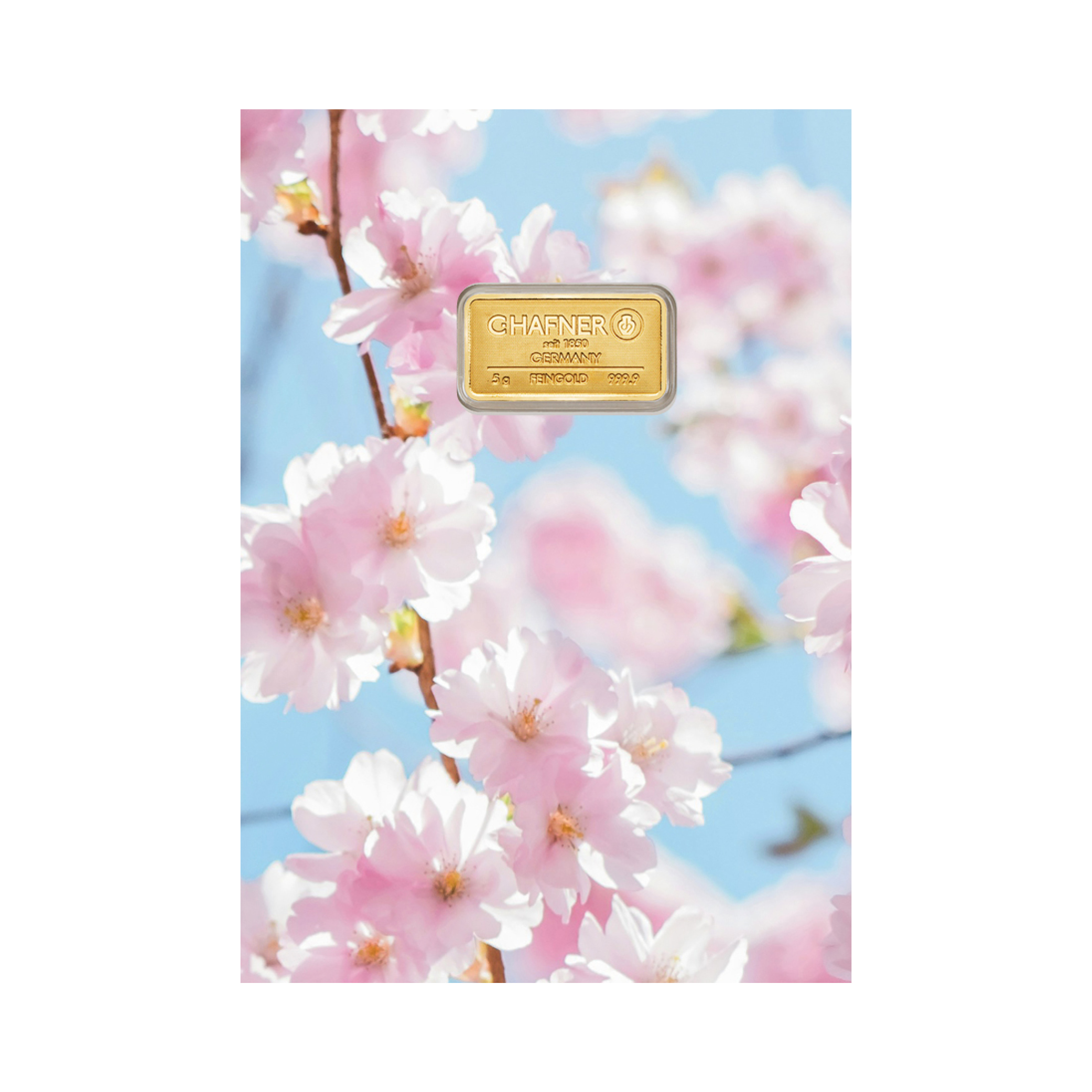 24K GULDTACKA C.HAFNER 5 G + SLEEVE CHERRY BLOSSOMS