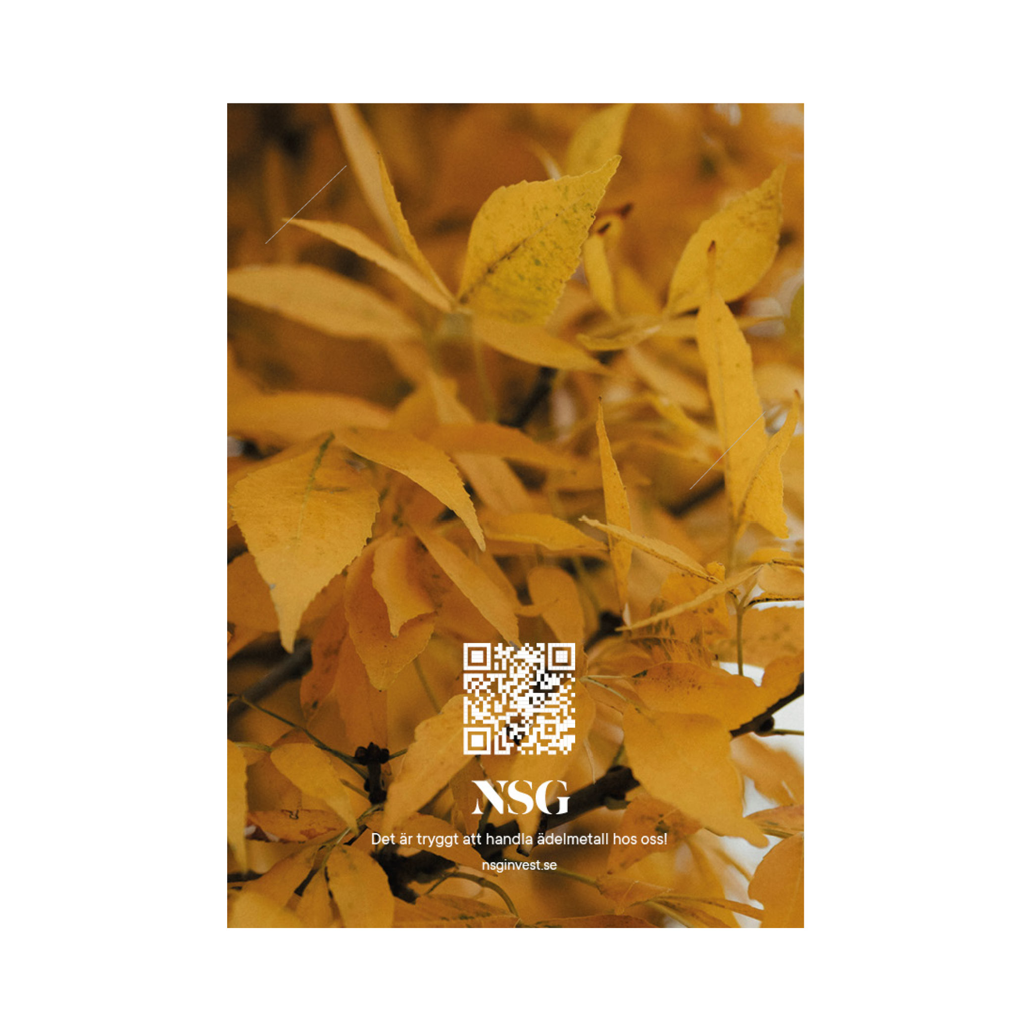 NSG SLEEVE TILL GULDTACKOR - HÖSTLÖV