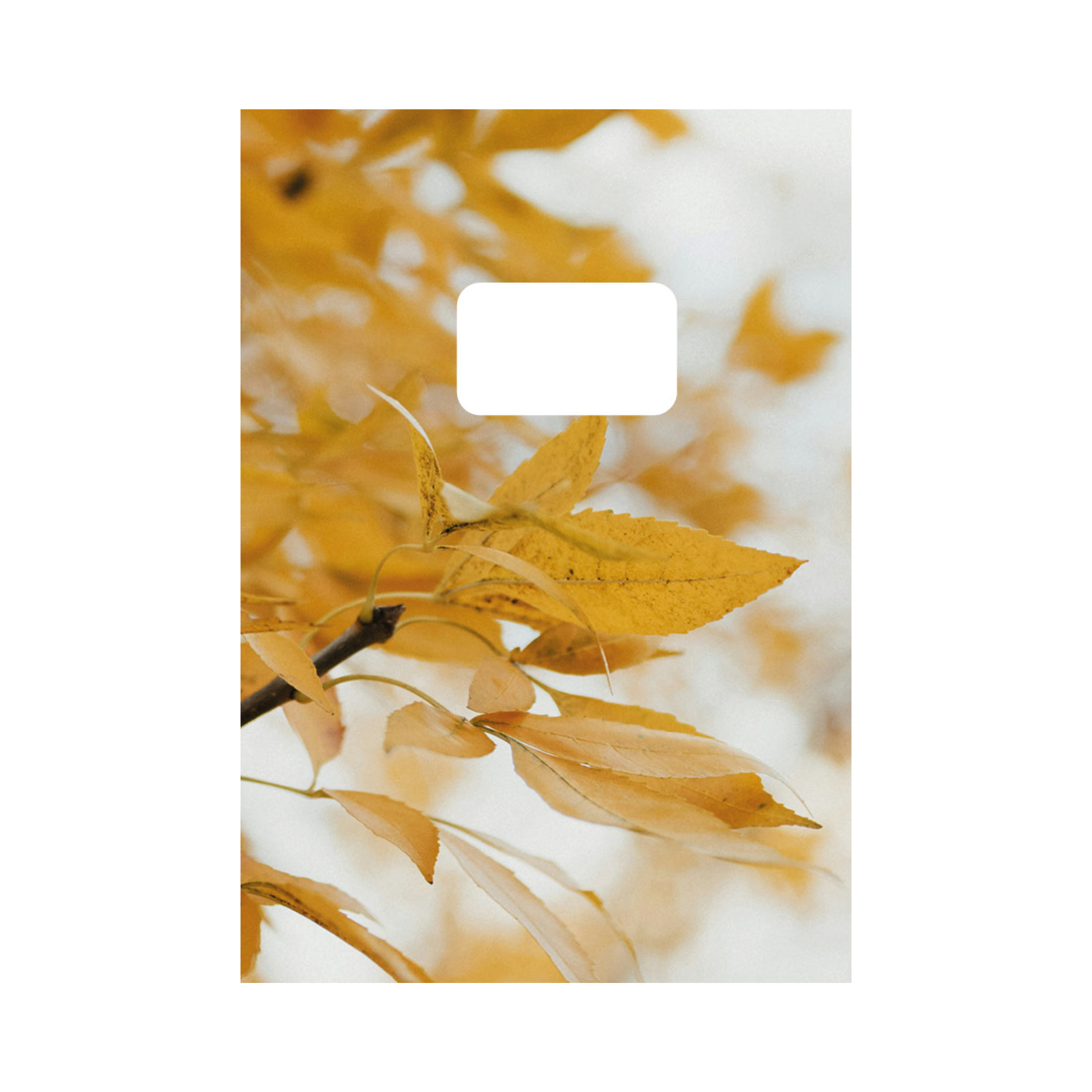 NSG SLEEVE TILL GULDTACKOR - HÖSTLÖV